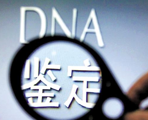 香港DNA亲子鉴定的准确性如何
